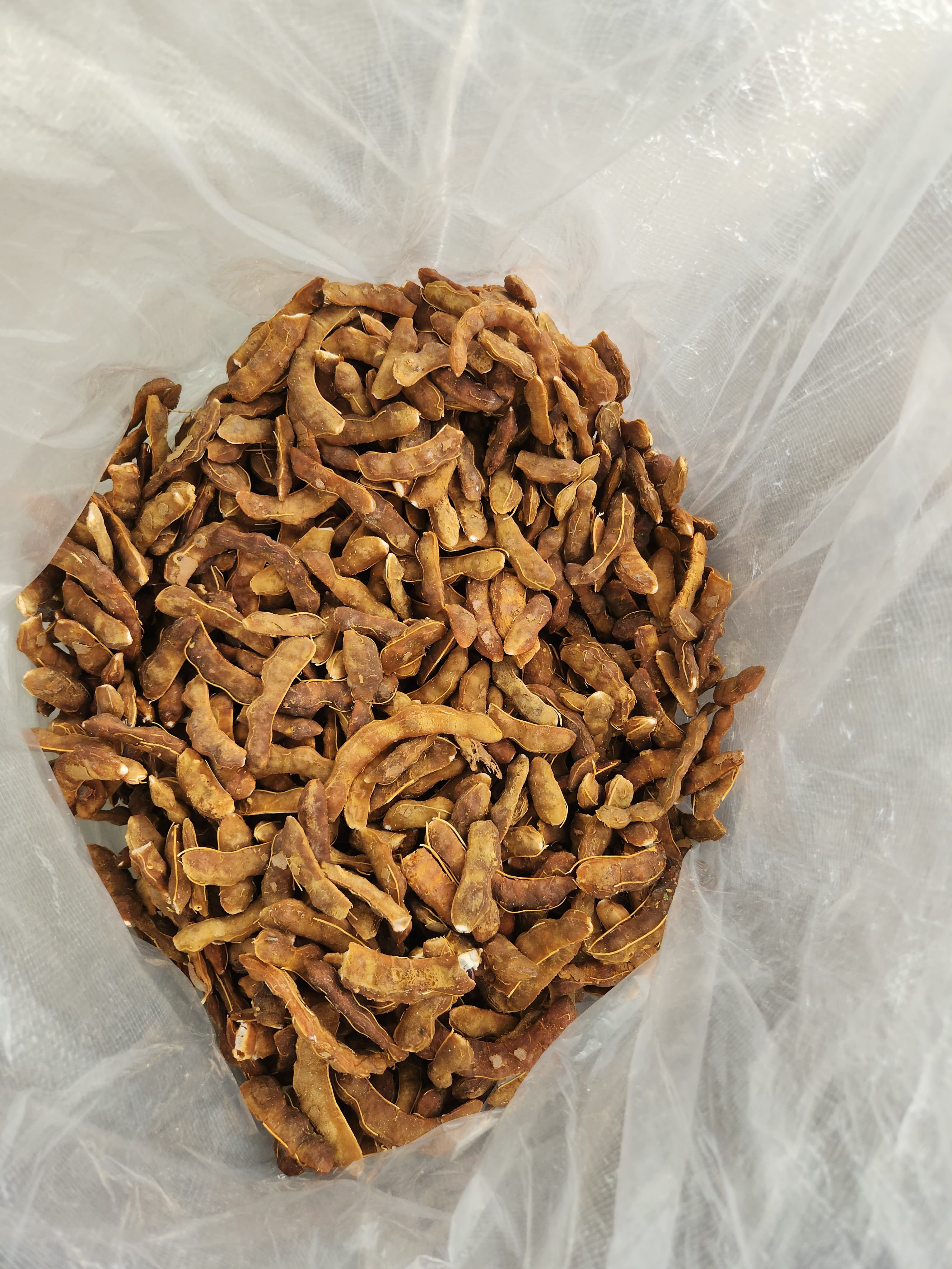 Tamarind pods packed in bulk